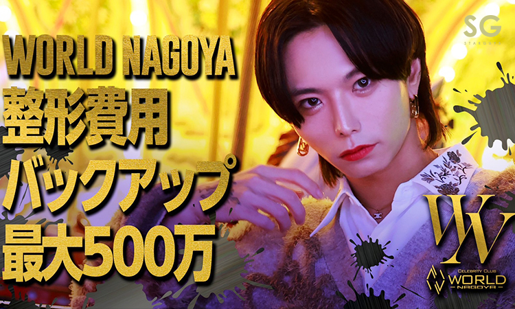 【WORLD -NAGOYA-】入店特典!!整形費用最大500万円バックアップ?!