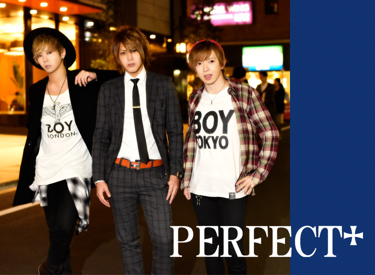 歌舞伎町ホストクラブ PERFECT+