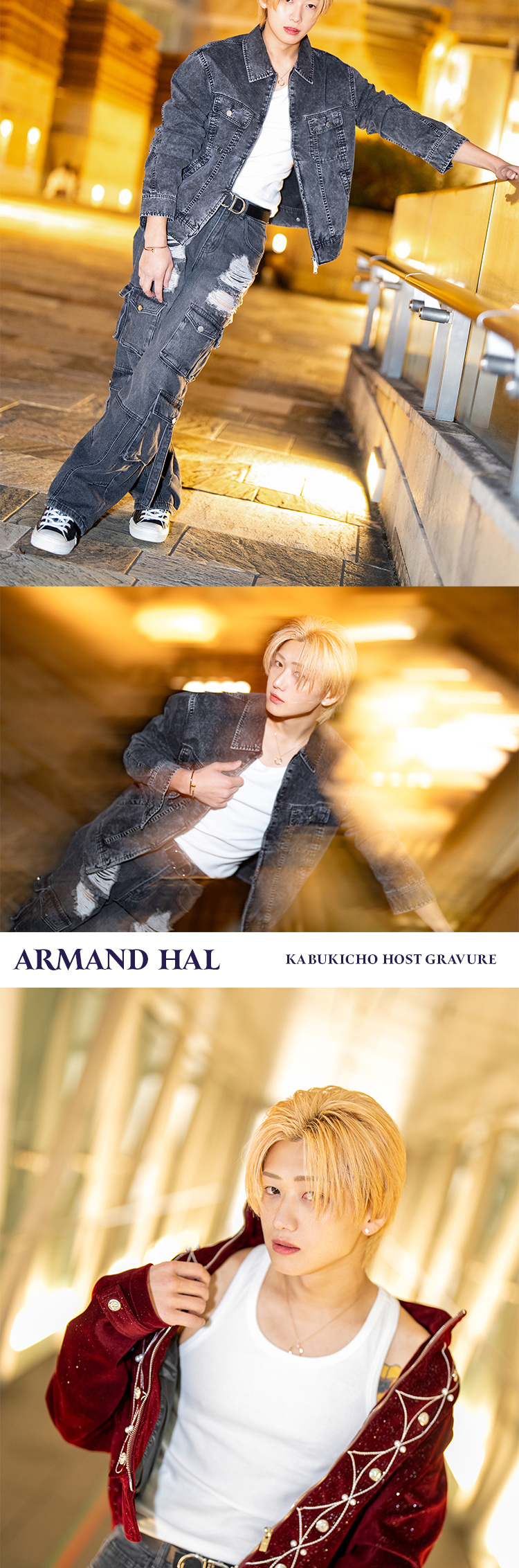 歌舞伎町ホストクラブ アルマンド HAL