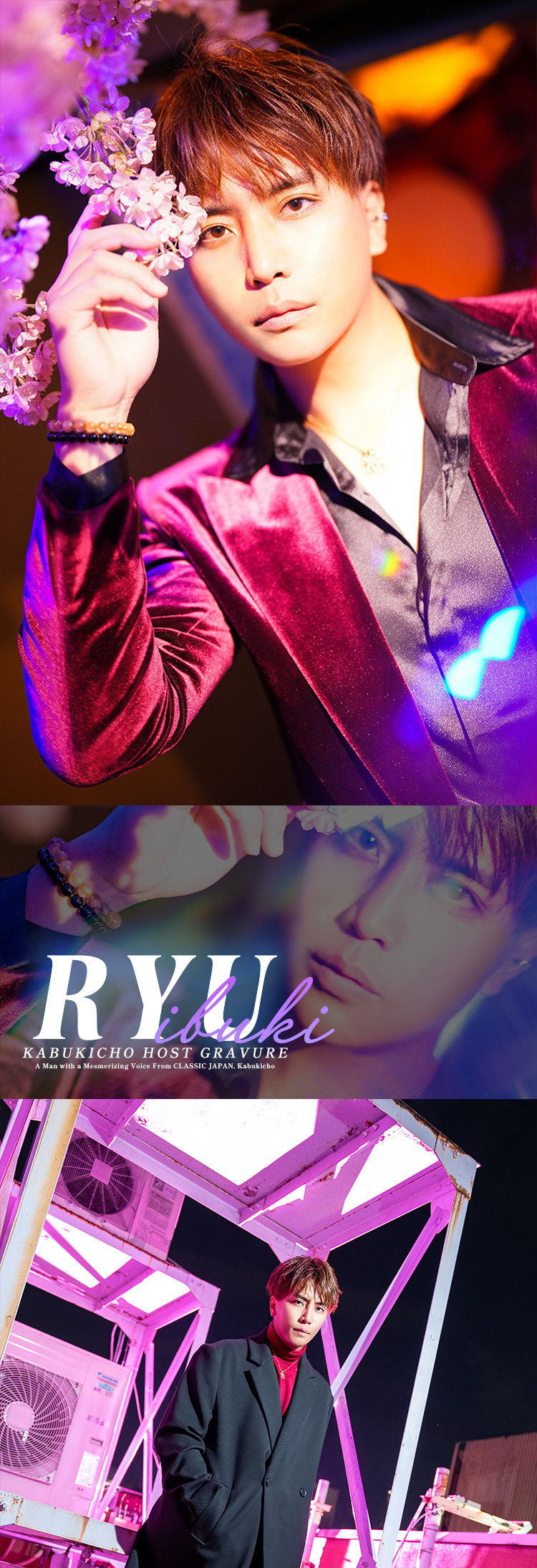 歌舞伎町ホストクラブ CLASSIC JAPAN 維吹 龍