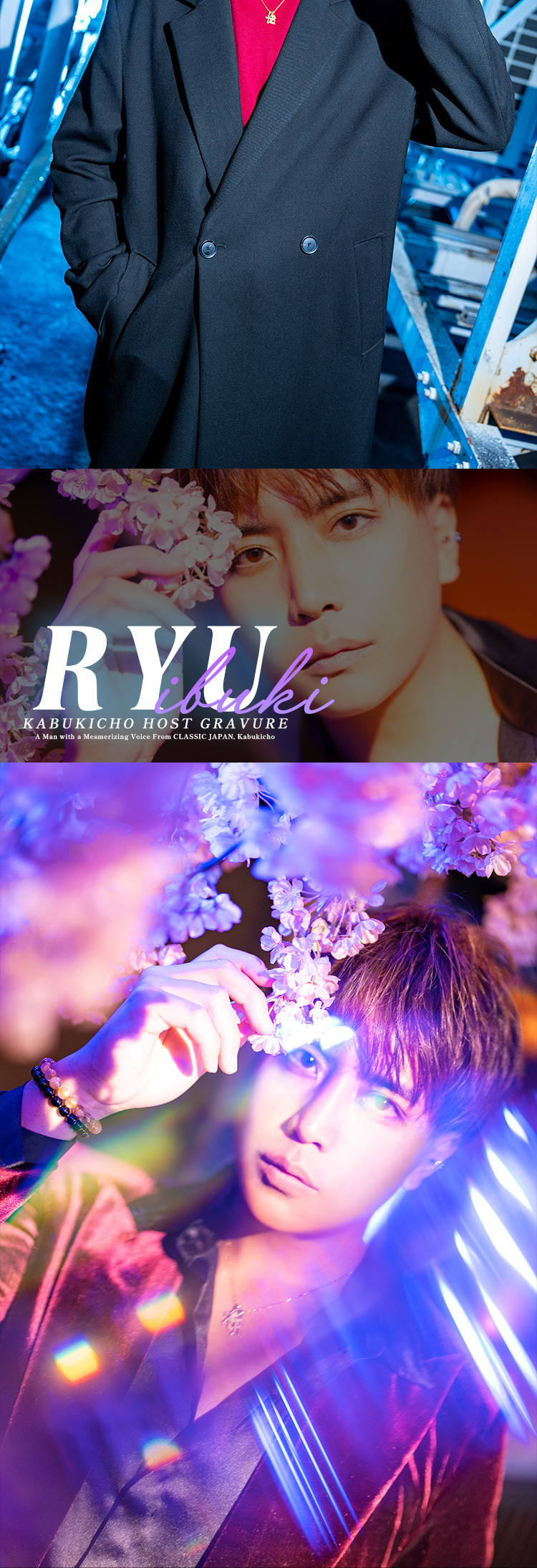 歌舞伎町ホストクラブ CLASSIC JAPAN 維吹 龍