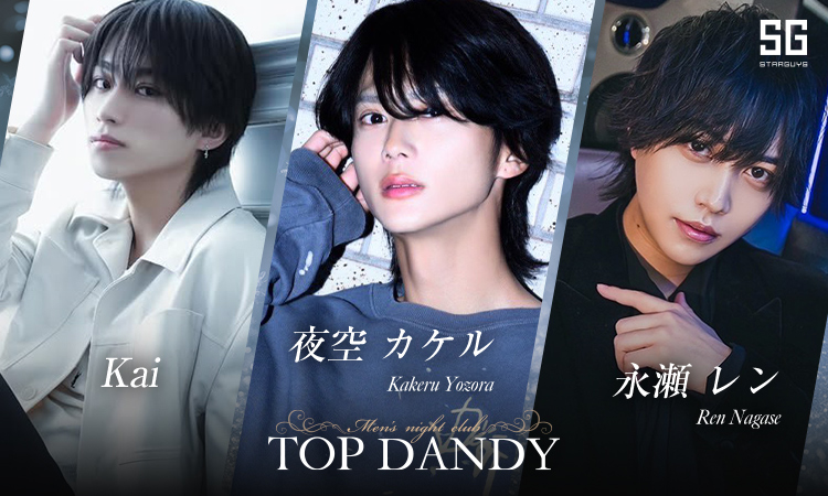 歌舞伎町 TOP DANDY トップダンディー