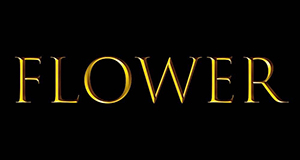 大阪府 大阪 ミナミ Flower