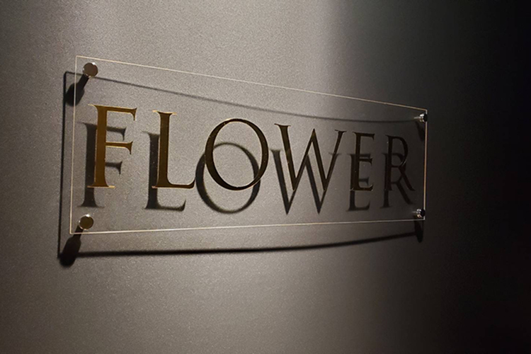 大阪府 大阪 ミナミ Flower