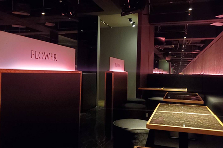 大阪府 大阪 ミナミ Flower