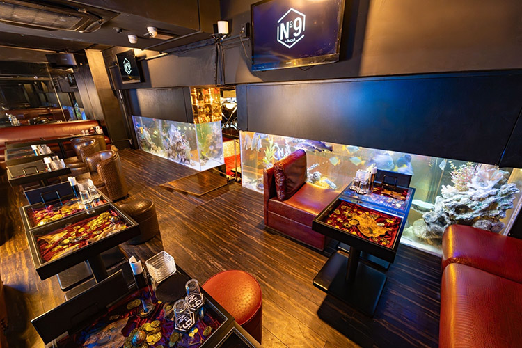 歌舞伎町 No9 by ACQUA ナンバーナイン アクア