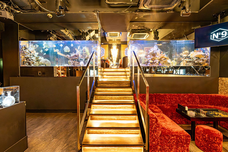 歌舞伎町 No9 by ACQUA ナンバーナイン アクア