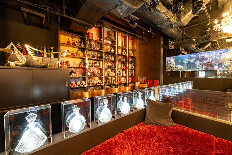 歌舞伎町 No9 by ACQUA ナンバーナイン アクア