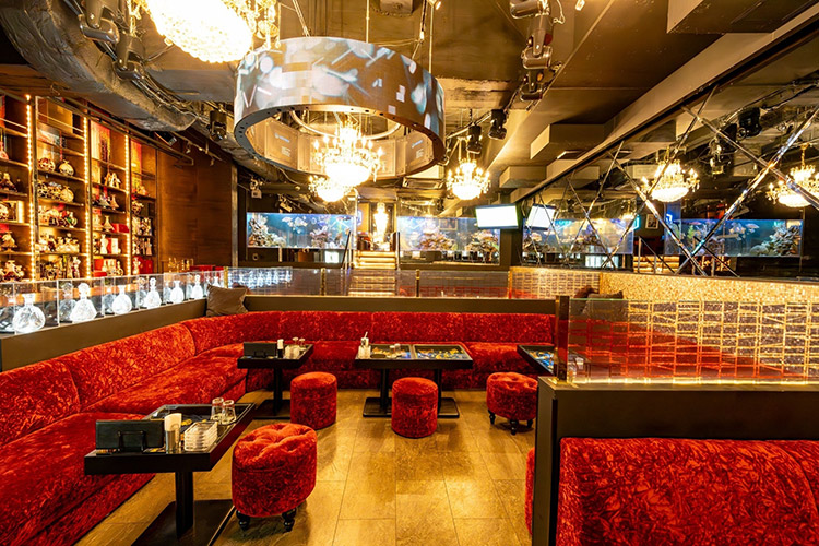 歌舞伎町 No9 by ACQUA ナンバーナイン アクア